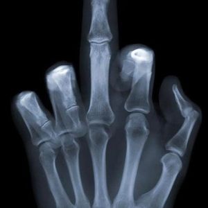 Meet your Posher, Bob